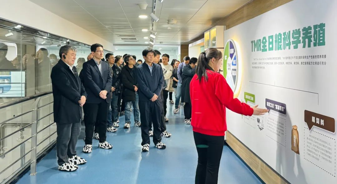 供稿:天津渤海轻工投资集团有限公司 供稿:天津渤海轻工投资集团有限公司